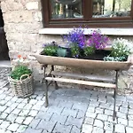 Bio Kastanienhof - Und Ayurvedische Jurten Гостевой дом 4*
