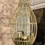 Bio Kastanienhof - Und Ayurvedische Jurten