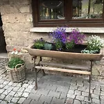 Bio Kastanienhof - Und Ayurvedische Jurten Affittacamere 4*