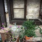 Gasthuis Bio Kastanienhof - Und Ayurvedische Jurten