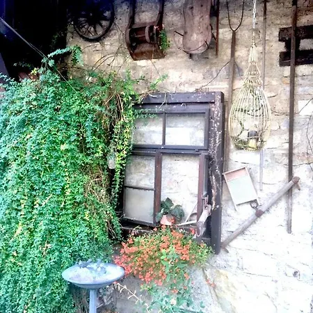 Bio Kastanienhof - Und Ayurvedische Jurten Гостевой дом