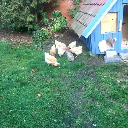 Bio Kastanienhof - Und Ayurvedische Jurten Гостевой дом