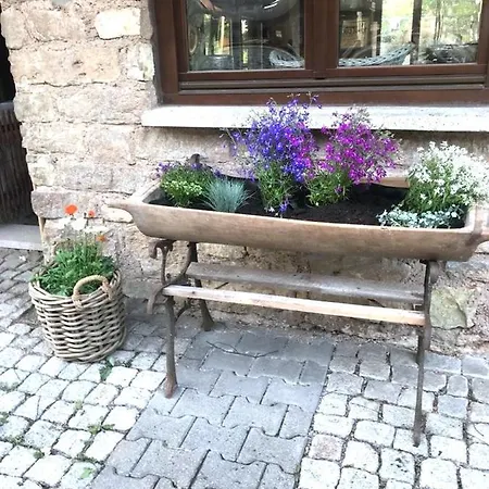 Bio Kastanienhof - Und Ayurvedische Jurten Гостевой дом 3*