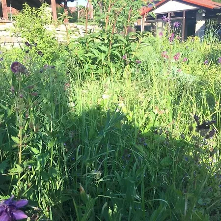 Vendégház Bio Kastanienhof - Und Ayurvedische Jurten Erfurt