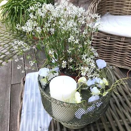 Penzion Bio Kastanienhof - Und Ayurvedische Jurten