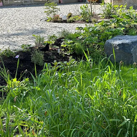 Bio Kastanienhof - Und Ayurvedische Jurten Vendégház 3*