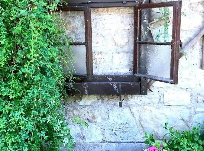 Bio Kastanienhof - Und Ayurvedische Jurten Erfurt