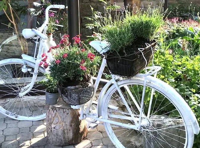 Bio Kastanienhof - Und Ayurvedische Jurten Erfurt