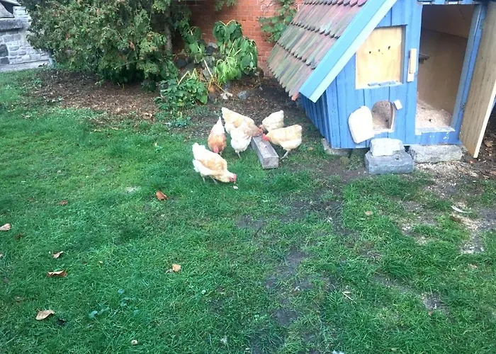 Bio Kastanienhof - Und Ayurvedische Jurten Gæstehus