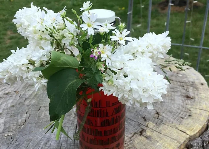 Gæstehus Bio Kastanienhof - Und Ayurvedische Jurten 3*