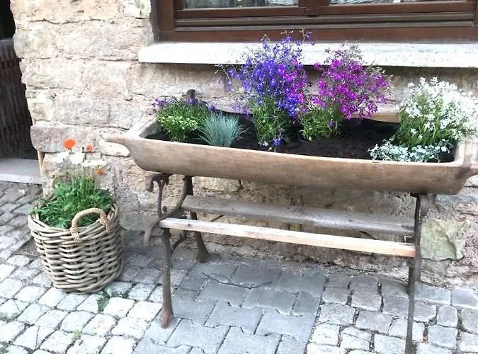 Bio Kastanienhof - Und Ayurvedische Jurten Konukevi 4*