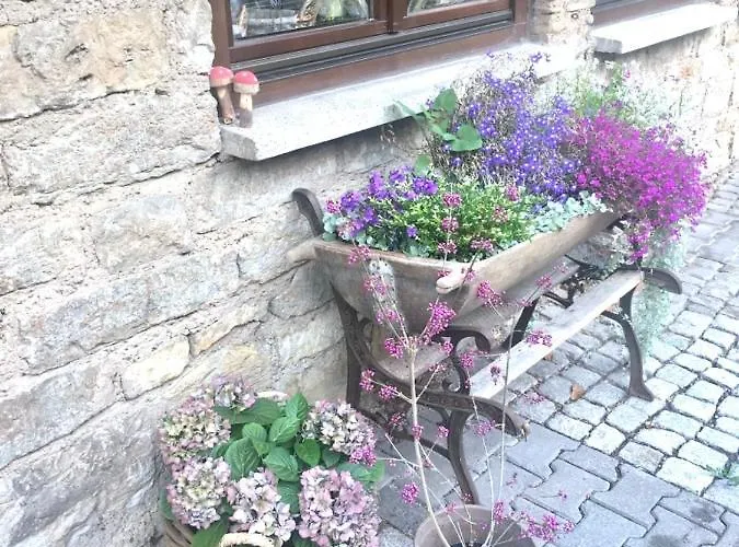 Konukevi Bio Kastanienhof - Und Ayurvedische Jurten Erfurt