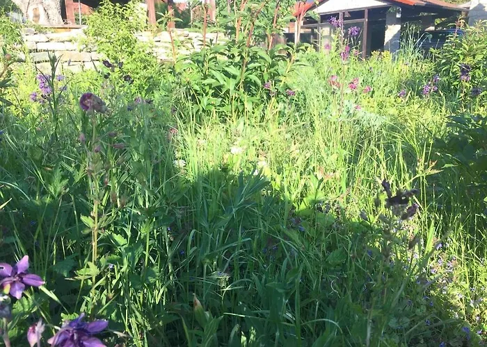 Pensión Bio Kastanienhof - Und Ayurvedische Jurten Érfurt