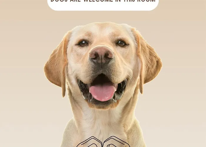 Gæstehus Bio Kastanienhof - Und Ayurvedische Jurten Erfurt