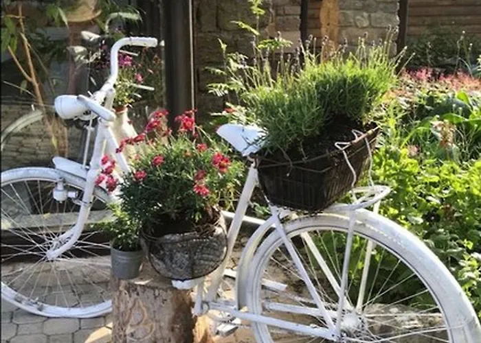 Bio Kastanienhof - Und Ayurvedische Jurten 3*